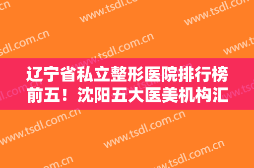 辽宁省私立整形医院排行榜前五！沈阳五大医美机构汇总盘点！伊美尔、杏林登顶