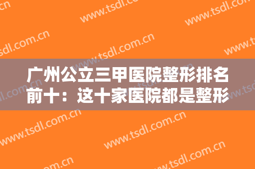 广州公立三甲医院整形排名前十：这十家医院都是整形好选择，不妨一起来看看吧！