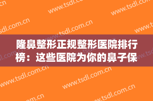隆鼻整形正规整形医院排行榜：这些医院为你的鼻子保驾护航！(著名的隆鼻整形医院)