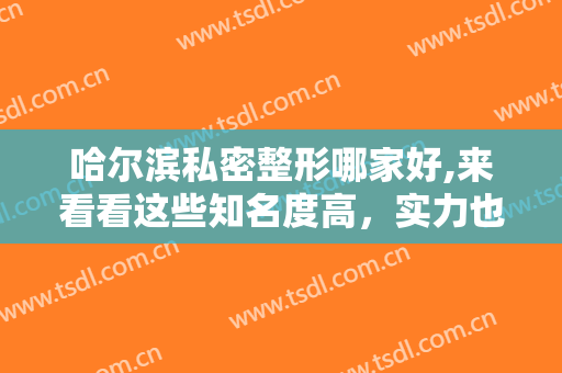 哈尔滨私密整形哪家好,来看看这些知名度高，实力也超好，环境氛围不错的医院吧！