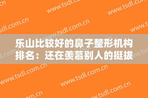 乐山比较好的鼻子整形机构排名：还在羡慕别人的挺拔鼻梁吗？现在你也能拥有！