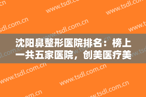 沈阳鼻整形医院排名：榜上一共五家医院，创美医疗美容门诊部位列榜首，其他几家是哪些？