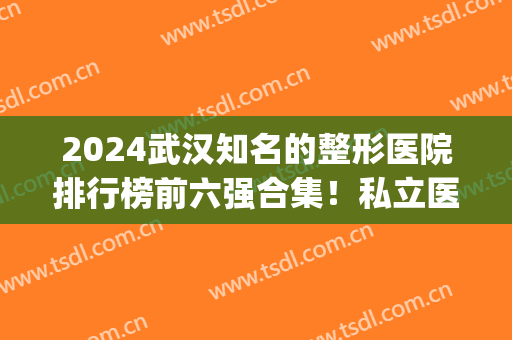 2024武汉知名的整形医院排行榜前六强合集！私立医美top6口碑真实测评！