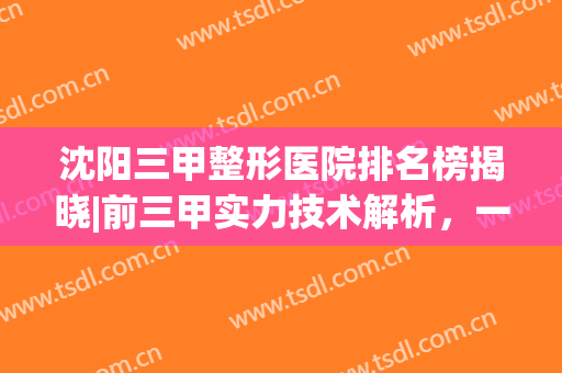 沈阳三甲整形医院排名榜揭晓|前三甲实力技术解析，一起来看看吧！(沈阳整形医院三甲医院)