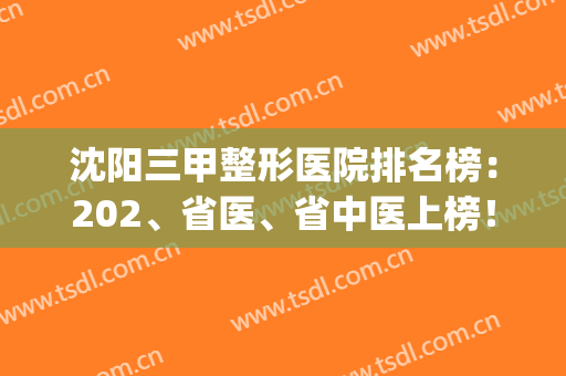 沈阳三甲整形医院排名榜：202、省医、省中医上榜！靠谱医院，值得信赖！(沈阳正规整形三甲医院)