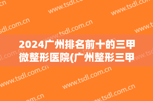 2024广州排名前十的三甲微整形医院(广州整形三甲医院排名前三的)