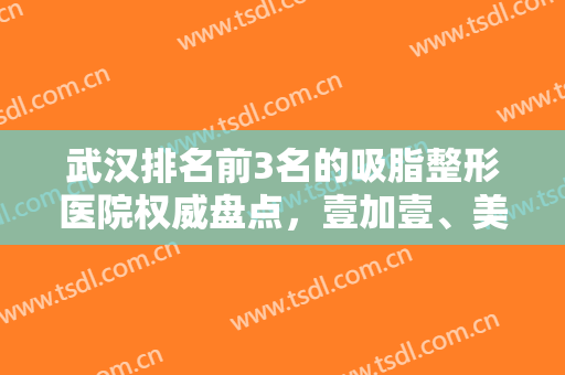 武汉排名前3名的吸脂整形医院权威盘点，壹加壹、美立方热度好评绝绝子！