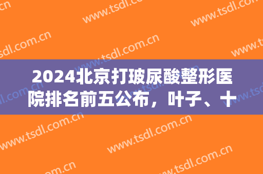 2024北京打玻尿酸整形医院排名前五公布，叶子、十优又有变化！(北京玻尿酸注射医生排名)