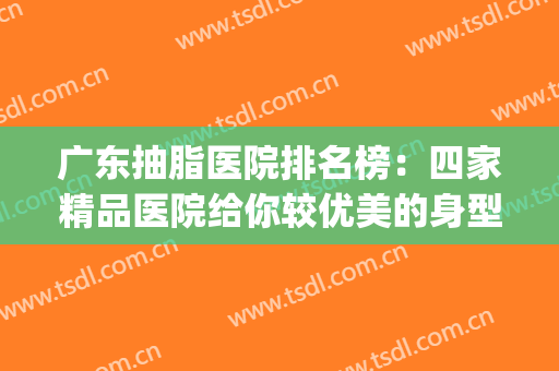 广东抽脂医院排名榜：四家精品医院给你较优美的身型！(广州抽脂哪家医院好一些)