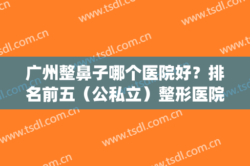 广州整鼻子哪个医院好？排名前五（公私立）整形医院名单_隆鼻价格免费公布