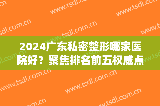 2024广东私密整形哪家医院好？聚焦排名前五权威点评，公立领衔前三！(广东最大的整形医院)