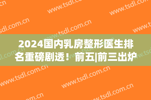2024国内乳房整形医生排名重磅剧透！前五|前三出炉，更多专家曝光(全国乳房再造最好的医生)