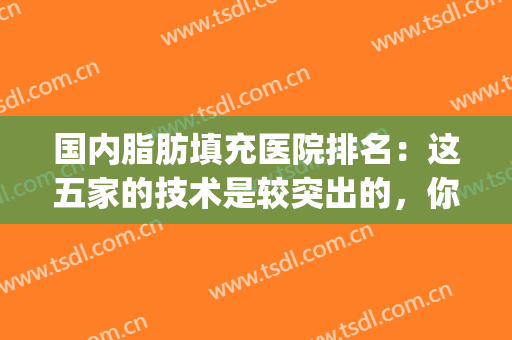国内脂肪填充医院排名：这五家的技术是较突出的，你都认识吗？(脂肪填充最好的医院)