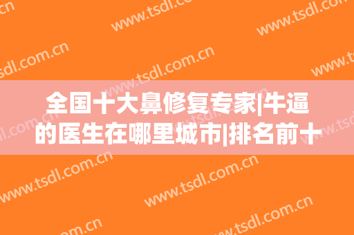 全国十大鼻修复专家|牛逼的医生在哪里城市|排名前十强技术多方面开展！