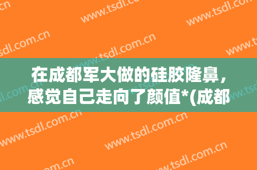 在成都军大做的硅胶隆鼻，感觉自己走向了颜值*(成都假体隆鼻)