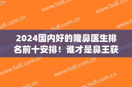 2024国内好的隆鼻医生排名前十安排！谁才是鼻王获得者？(全国知名隆鼻专家前十名)