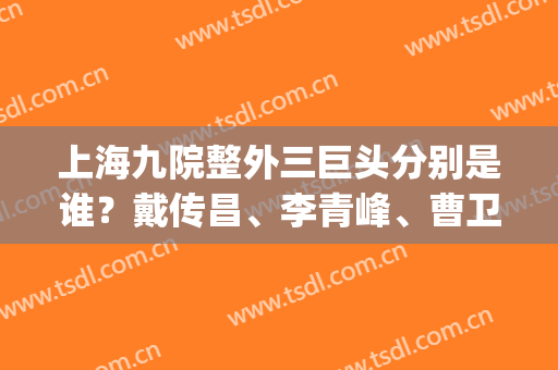 上海九院整外三巨头分别是谁？戴传昌、李青峰、曹卫刚当选排行前三！(上海九院李青峰)