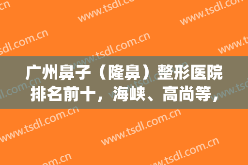广州鼻子（隆鼻）整形医院排名前十，海峡、高尚等，鼻王坐诊哪家？(广州隆鼻最好的医院)