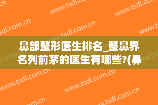 鼻部整形医生排名_整鼻界名列前茅的医生有哪些?(鼻整形医生排行)