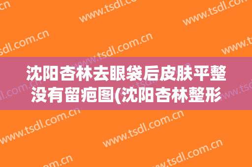 沈阳杏林去眼袋后皮肤平整没有留疤图(沈阳杏林整形医院去眼袋多少钱)