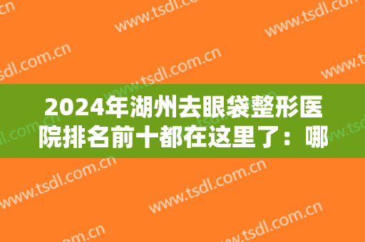 2024年湖州去眼袋整形医院排名前十都在这里了：哪家团队和技术更过硬？