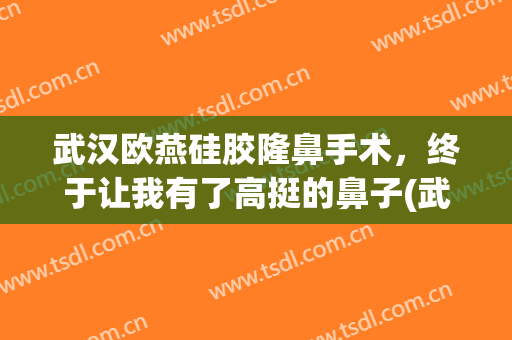 武汉欧燕硅胶隆鼻手术，终于让我有了高挺的鼻子(武汉欧燕整形医院怎么样)