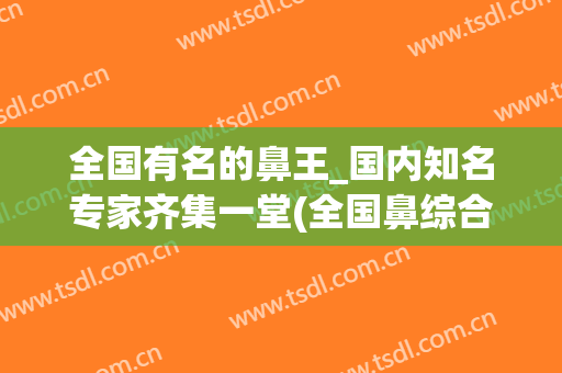 全国有名的鼻王_国内知名专家齐集一堂(全国鼻综合知名专家)