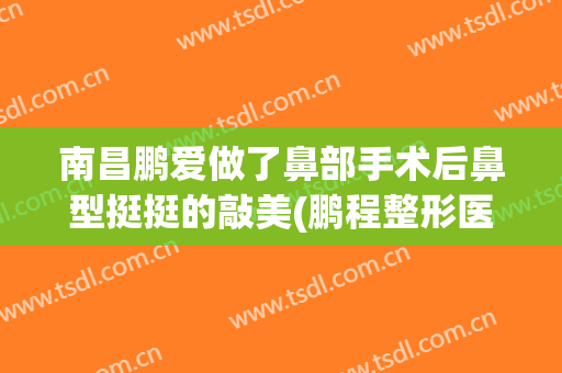 南昌鹏爱做了鼻部手术后鼻型挺挺的敲美(鹏程整形医院做鼻子怎样)