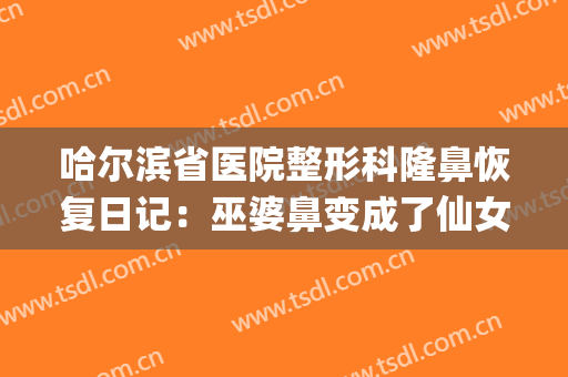 哈尔滨省医院整形科隆鼻恢复日记：巫婆鼻变成了仙女鼻(哈尔滨整容隆鼻)