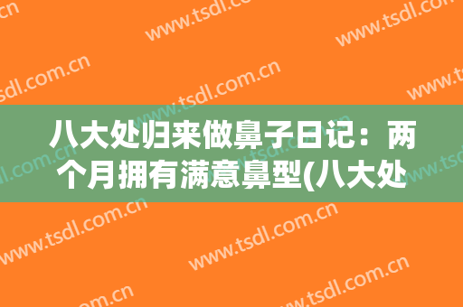 八大处归来做鼻子日记：两个月拥有满意鼻型(八大处谁做鼻子最自然)