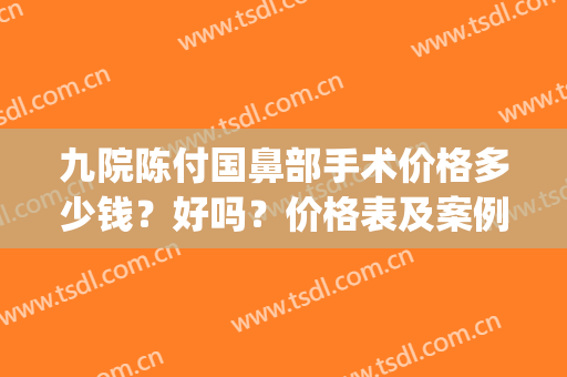 九院陈付国鼻部手术价格多少钱？好吗？价格表及案例展示(陈付国做鼻子多少钱)