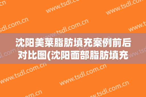 沈阳美莱脂肪填充案例前后对比图(沈阳面部脂肪填充好的医生)