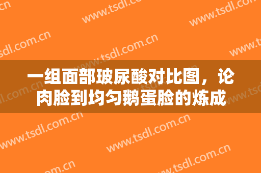 一组面部玻尿酸对比图，论肉脸到均匀鹅蛋脸的炼成