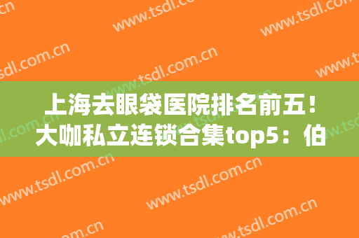 上海去眼袋医院排名前五！大咖私立连锁合集top5：伯思立、美诗沁(上海去眼袋哪家医院最好)