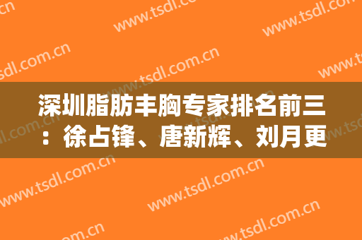 深圳脂肪丰胸专家排名前三：徐占锋、唐新辉、刘月更|技术&价格对比