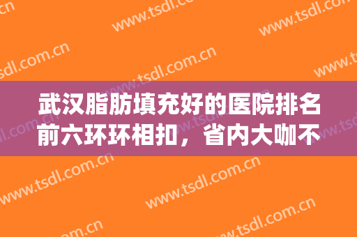 武汉脂肪填充好的医院排名前六环环相扣，省内大咖不止这几家！(武汉脂肪填充)