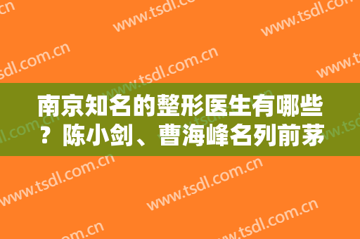 南京知名的整形医生有哪些？陈小剑、曹海峰名列前茅，不吹不黑实力真的强
