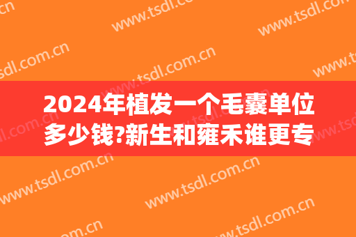 2024年植发一个毛囊单位多少钱?新生和雍禾谁更专业一点?(成都植发多少钱一个毛囊单位)