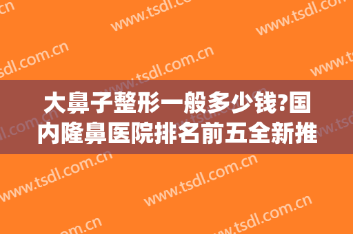 大鼻子整形一般多少钱?国内隆鼻医院排名前五全新推荐(鼻子大 整形多少钱)