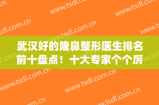 武汉好的隆鼻整形医生排名前十盘点！十大专家个个厉害，风格迥异(武汉权威的隆鼻专家)