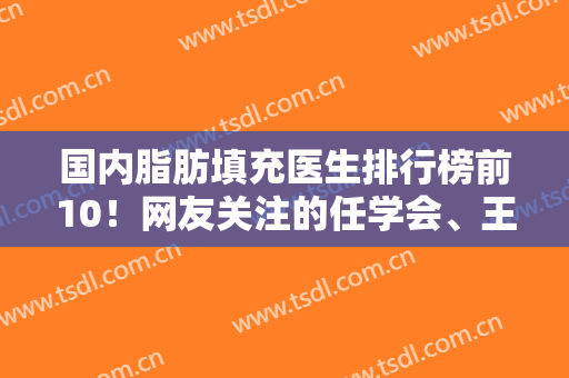国内脂肪填充医生排行榜前10！网友关注的任学会、王志军、马桂娥前3