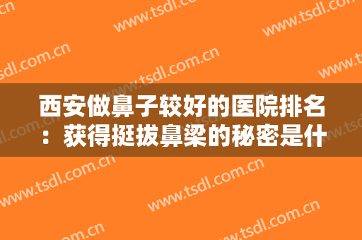 西安做鼻子较好的医院排名：获得挺拔鼻梁的秘密是什么？这些医院来告诉你！