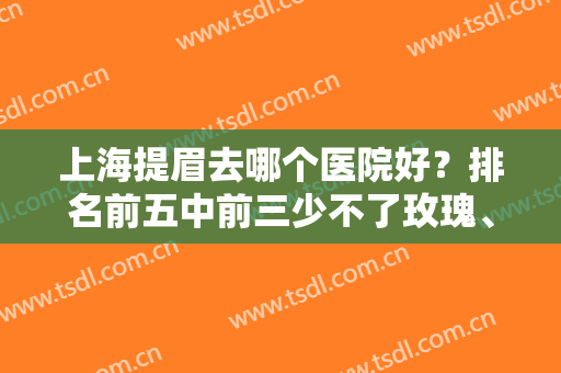 上海提眉去哪个医院好？排名前五中前三少不了玫瑰、伊莱美和九院，价格紧跟！