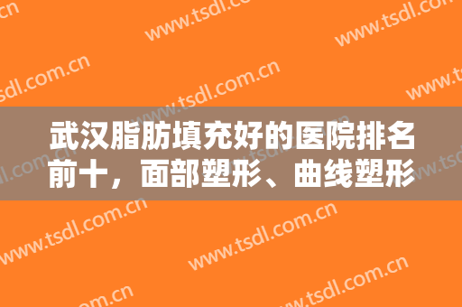 武汉脂肪填充好的医院排名前十，面部塑形、曲线塑形、年轻化等通通拿下！
