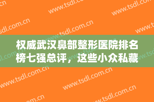 权威武汉鼻部整形医院排名榜七强总评，这些小众私藏，你值得拥有！(武汉整鼻子哪个医生好)