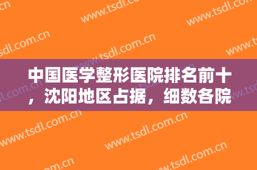 中国医学整形医院排名前十，沈阳地区占据，细数各院擅长及特色项目！