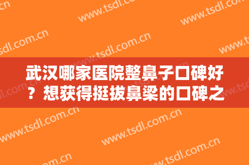 武汉哪家医院整鼻子口碑好？想获得挺拔鼻梁的口碑之选，这些医院推荐给您！