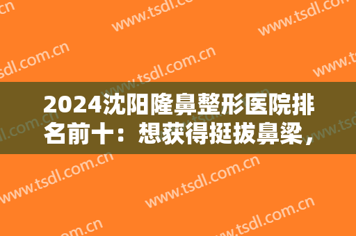 2024沈阳隆鼻整形医院排名前十：想获得挺拔鼻梁，这十家医院你也许需要认识！