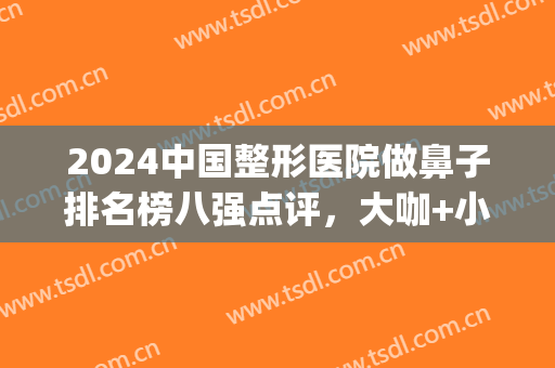 2024中国整形医院做鼻子排名榜八强点评，大咖+小众|一个都不能少！(中国最好的整鼻子医院)