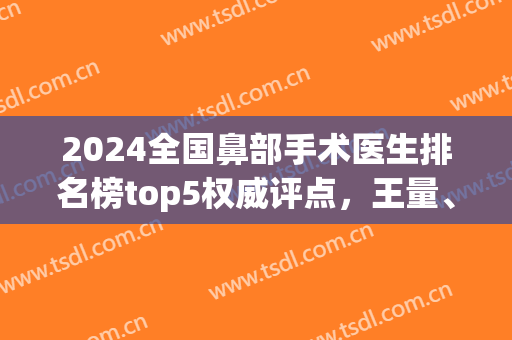 2024全国鼻部手术医生排名榜top5权威评点，王量、卢丙仑整形攻略来了！(鼻部整形医生排名前十)